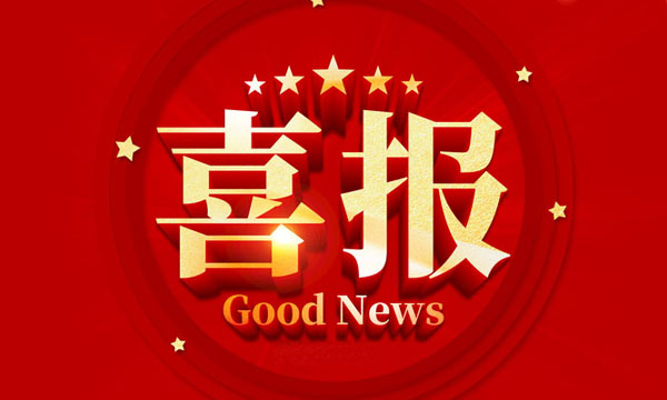 瓦力游戏荣获国度专精特新“幼巨人”企业称号
